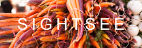 sightsee