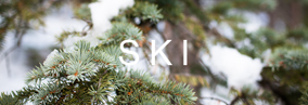 ski