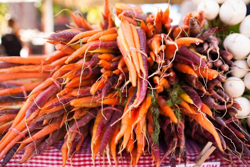 Carrots at Boulder Farmer's Markert