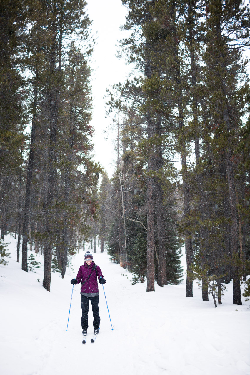Coney Trail Cross Country Ski