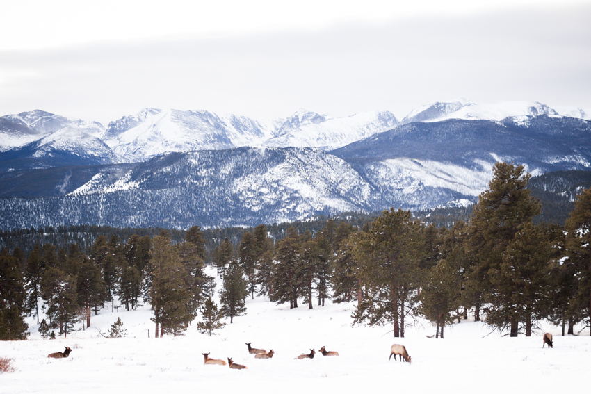 Hidden Valley at Rocky Mountain National Park