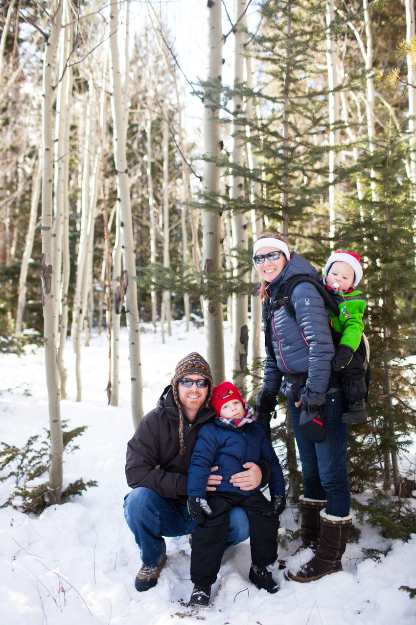 Red Feather Christmas Tree Cutting