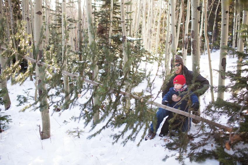 Red Feather Christmas Tree Cutting