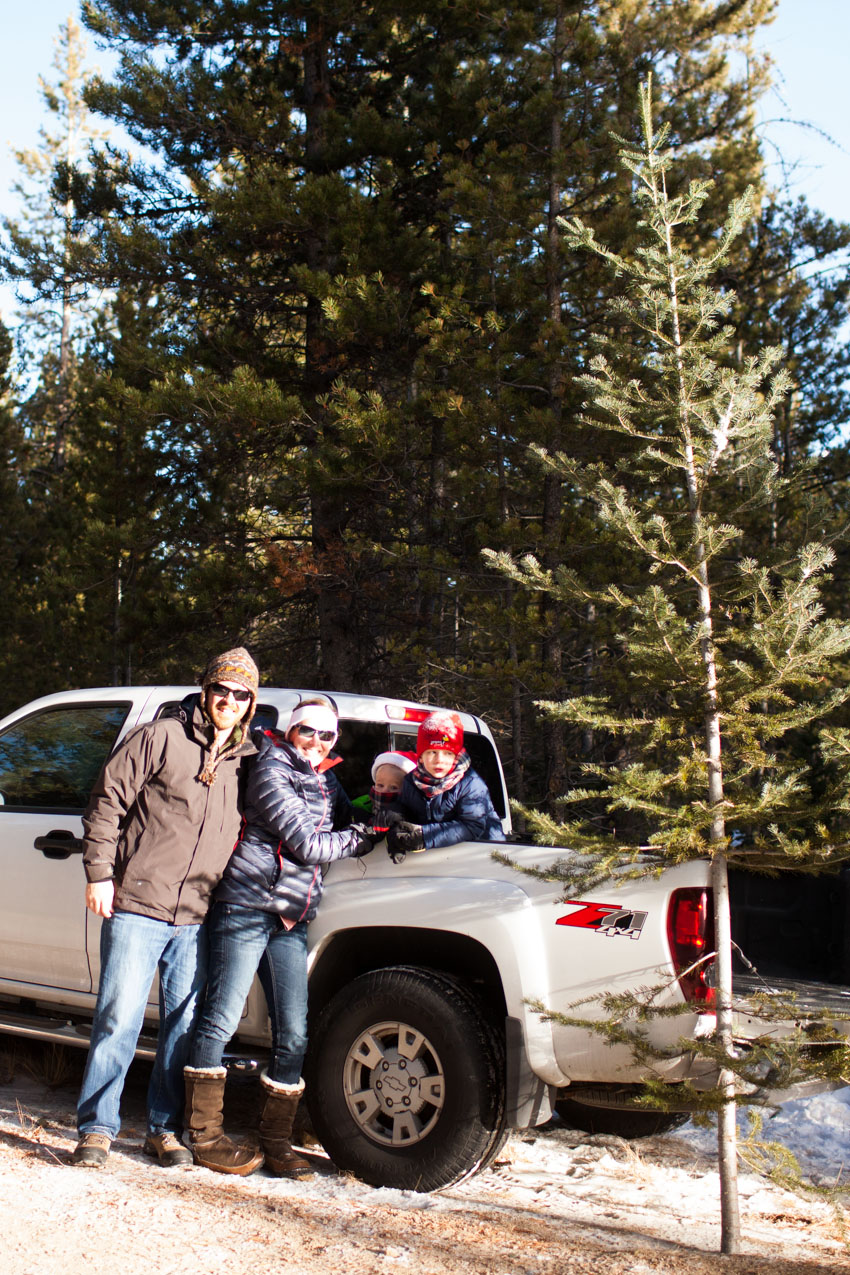 Red Feather Christmas Tree Cutting